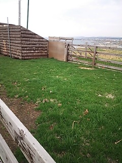 �Ȃ񂿂����