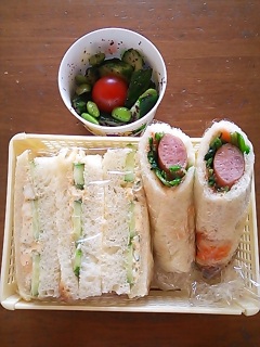 �T���h�C�b�`��